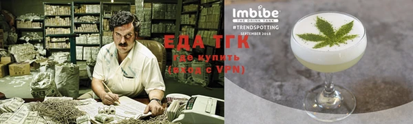 индика Алзамай