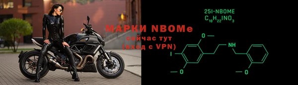 индика Алзамай
