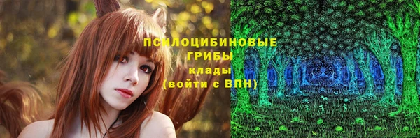индика Алзамай