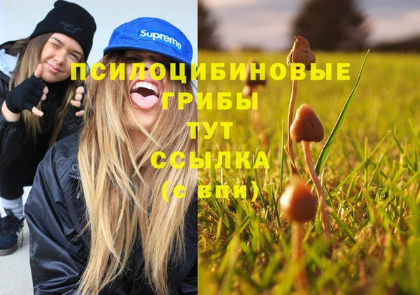 таблы Алексеевка
