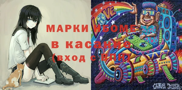 индика Алзамай
