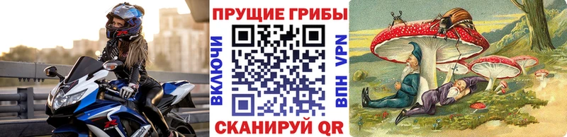 Купить где  Бутурлиновка  Псилоцибиновые грибы Psilocybe 